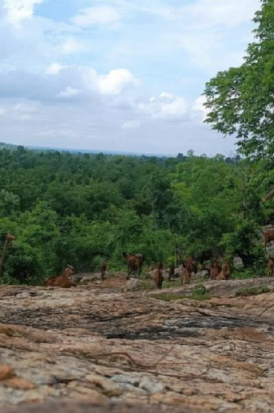 हम हिन्दुतानी