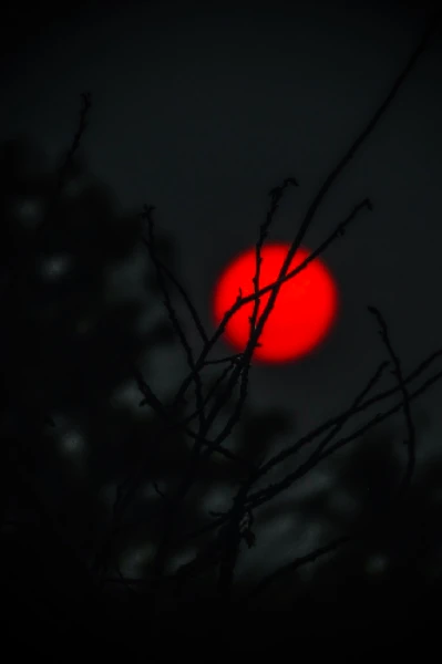 श्रापीत गाव