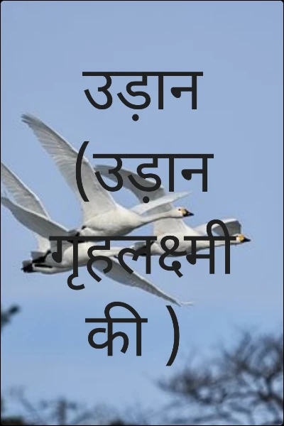 उड़ान    (उड़ान गृहलक्ष्मी की )