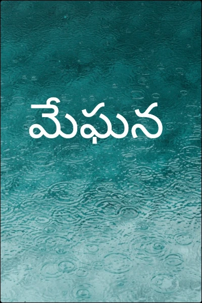 మేఘన