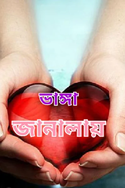 ভাঙ্গা জানালায়