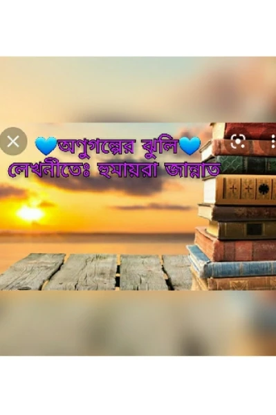 💙অনুগল্পের ঝুলি💙