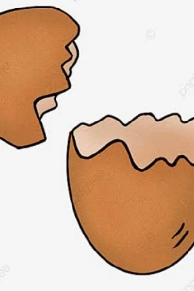 अंडे के छिलके