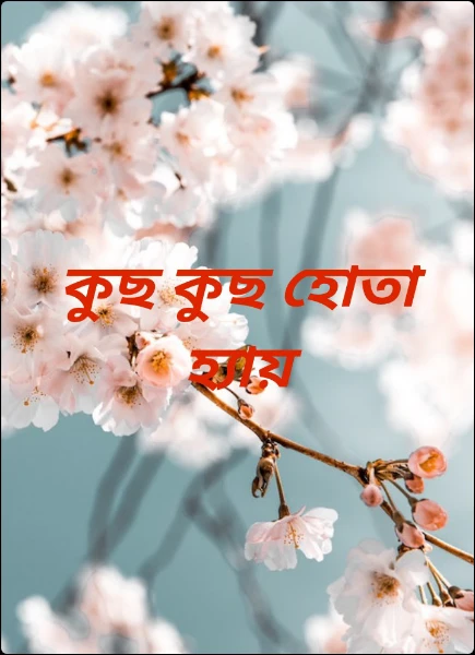 কুছ কুছ হোতা হ্যায়