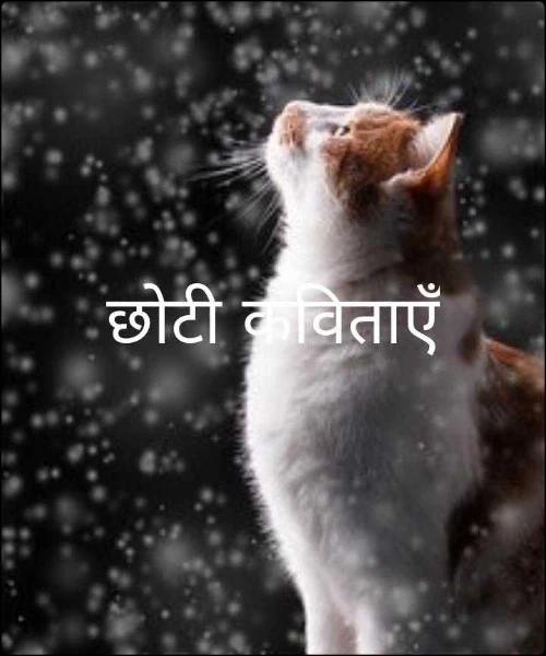 छोटी कविताएँ