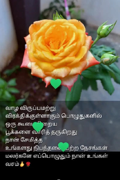 💕தனியவள் கண்ணீர்.💕