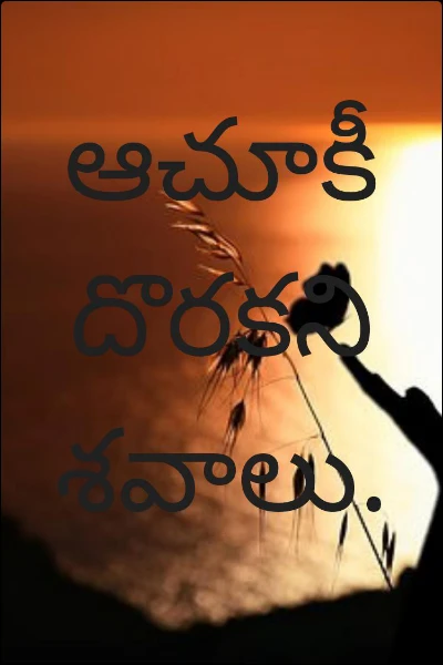 ఆచూకీ దొరకని శవాలు.