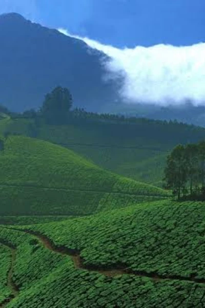 யாகாவாராயினும்