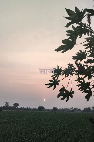 નવલકથાઃ."ઝાંઝવાનું જલ" ભાગ ૧.પરકરણ ૧.  સ્પર્ધા.