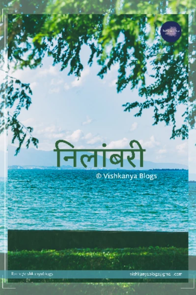 निलांबरी - अज्ञात बेटावरील प्रेमकथा