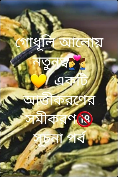 গোধূলি আলোয় নতুনত্ব👨‍❤️‍👨💛  একটি আত্তীকরণের সমীকরণ🔞  সূচনা পর্ব