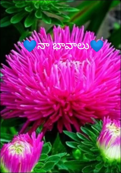 💙నా భావాలు💙(completed )