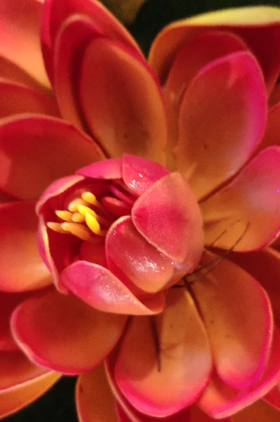 गुम है किसी के प्यार में .............. एक नई कहानी