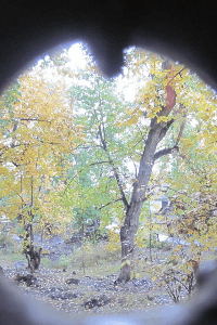 porokiya