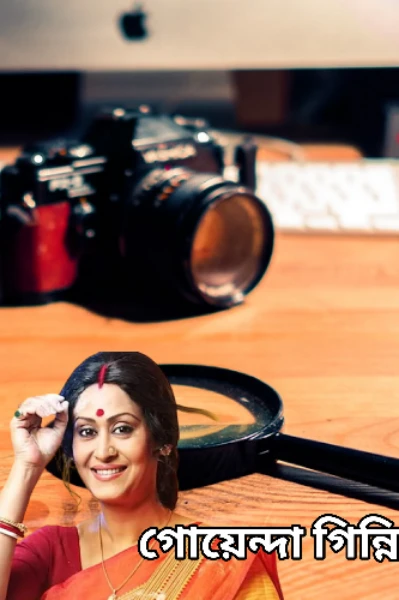 গোয়েন্দা গিন্নি!