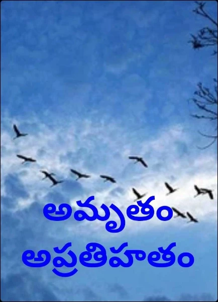 అమృతం అప్రతిహతం