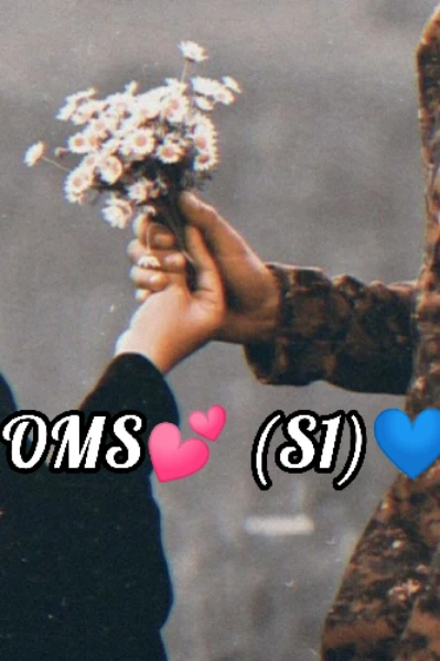 Oh my soldiers💕[completed ]
