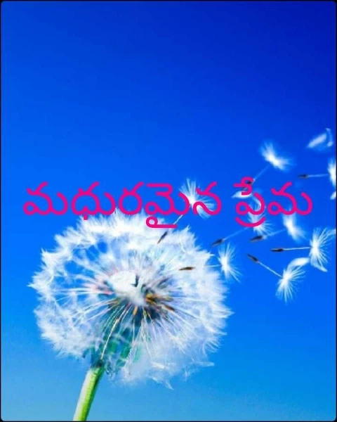 మధురమైన ప్రేమ