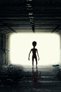 आखिर वह कौन था?भाग-2