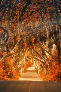 रहस्यमय प्रेम कहानी