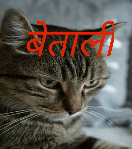 बेताली