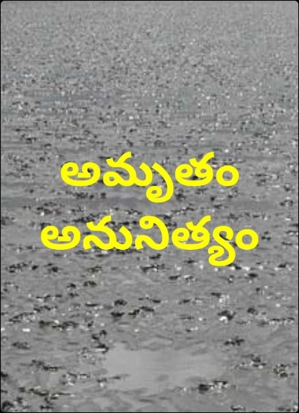 అమృతం అనునిత్యం