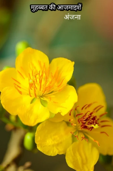 भाग 1 मुहब्बत की अजमाइशें