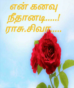 என் கனவு நீதானடி.....!
ராசு.சிவா.....