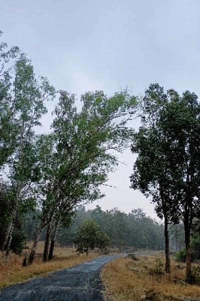 भटकंती : सहल विविध ठिकाणांची 🍁