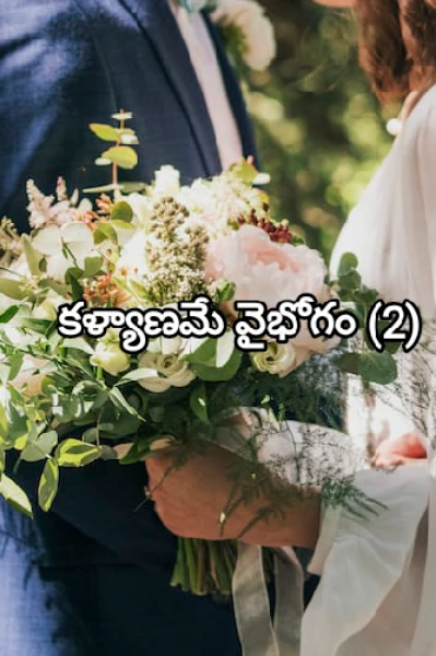 కళ్యాణమే వైభోగం (2)