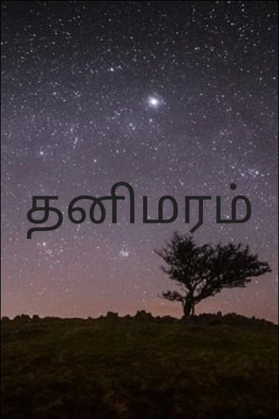 தனிமரம்