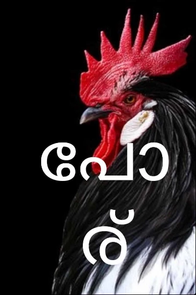 പോര്