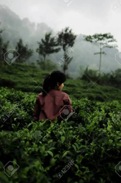 আবারো একটি নতুন সকাল