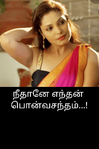 நீதானே எந்தன்  பொன்வசந்தம்...!