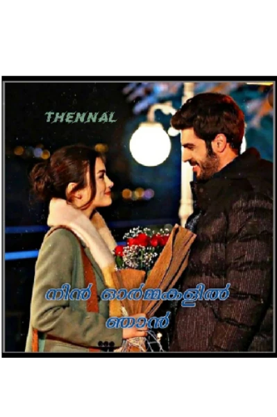 നിൻ ഓർമ്മകളിൽ ഞാൻ... 🍁 1