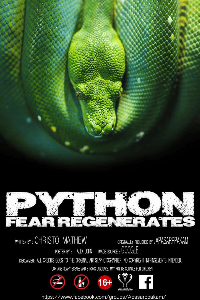 PYTHON