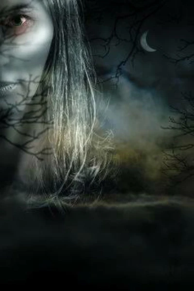 भयसृष्टी.....

लघु, अतिलघु (अलक) भय, गूढ कथासंग्रह...

१) मेजवानी