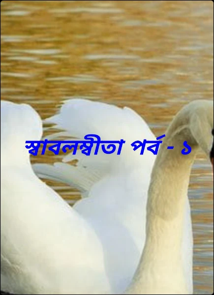 স্বাবলম্বীতা
