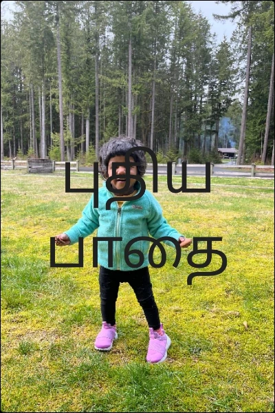 புதிய பாதை