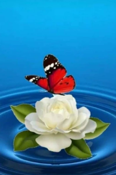 ചെറ് മഞ്ജരികൾ