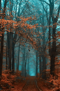 ह्या वळणावर...