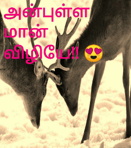 💘அன்புள்ள மான் விழியே!! 💘😍