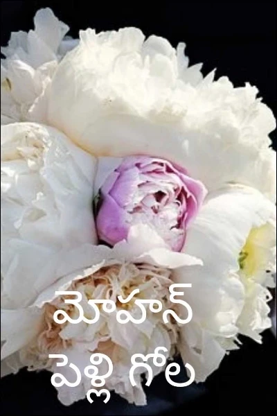 మోహన్  పెళ్ళి గోల