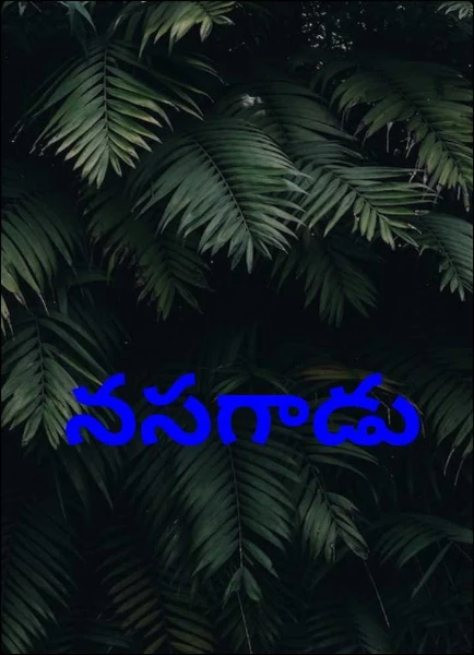 నసగాడు