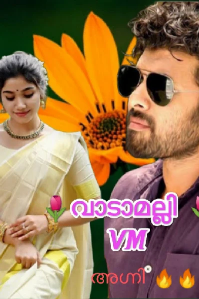 🌷വാടാമല്ലി 🌷