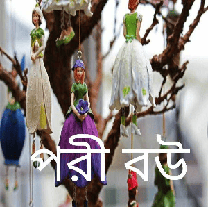 পরী বউ
