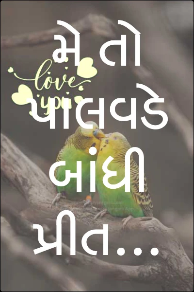 મે તો પાલવડે બાંધી પ્રીત... ( અમર કથા)
