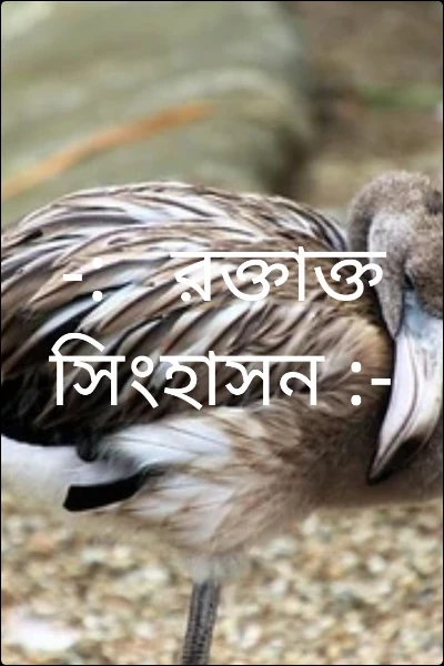 -:   রক্তাক্ত সিংহাসন :-