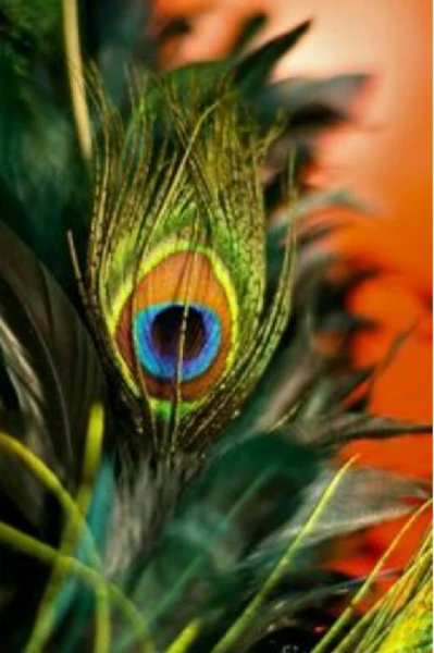 ചെറുകഥകൾ