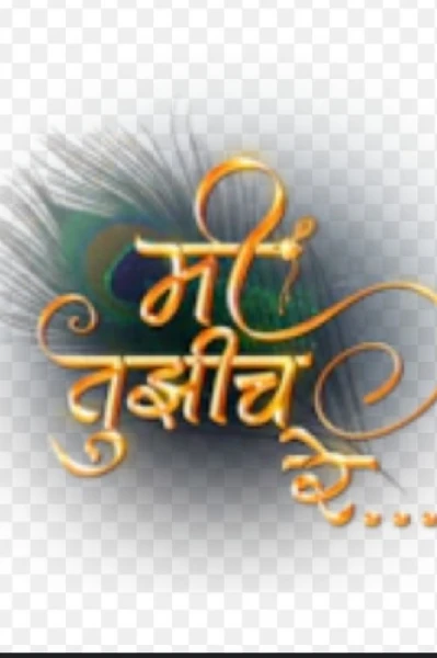 मी तुझीच रे